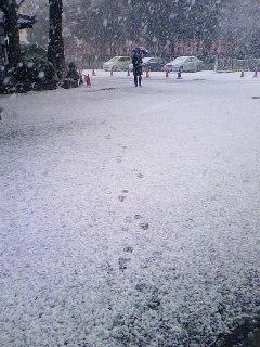 090113一宮の朝は雪模様