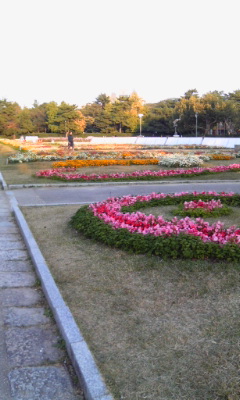 鶴舞公園の花壇