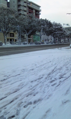 名古屋も雪景色