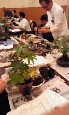 110528_苔玉 完成間近 苔玉 完成間近