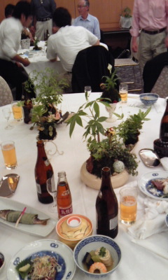 110528_苔玉 品評会 お酒も 苔玉 品評会 お酒も