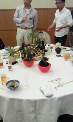 110528_苔玉 品評会4 苔玉 品評会4