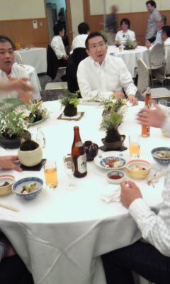 110528_苔玉 品評会5 苔玉 品評会5