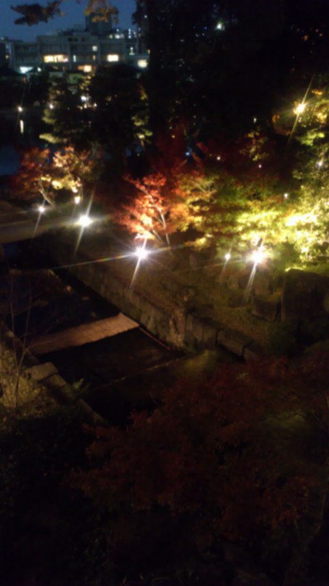 徳川園夜景1