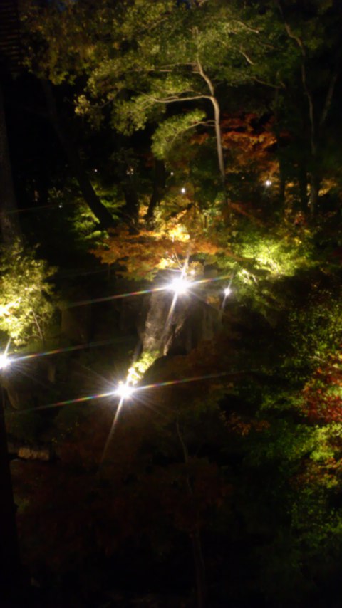 徳川園夜景2